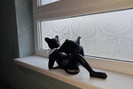 IMG_20260213_165737